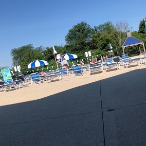 Meet your Posher, Alise